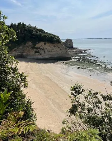 45 Saint-Georges-de-Didonne